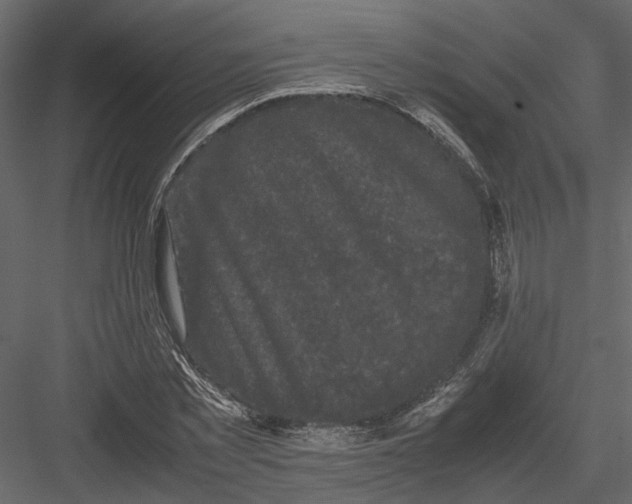 X0000082970781200702230006