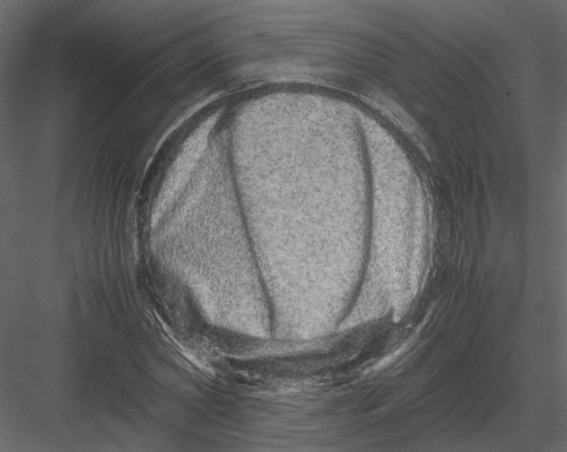 X0000082970782200702230006