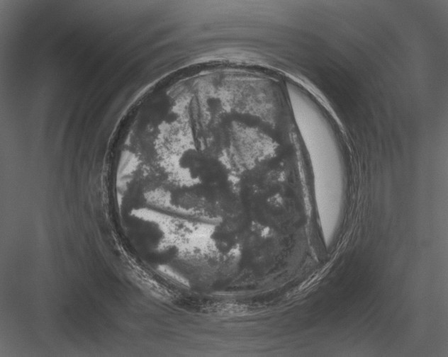 X0000082970783200702230006