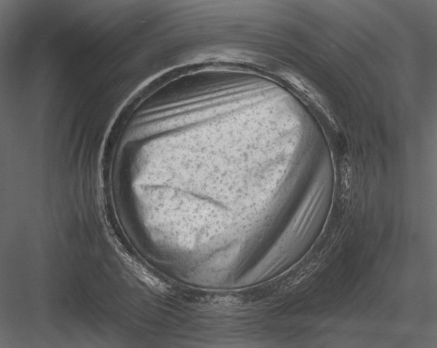 X0000082970784200702230006