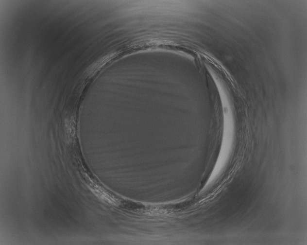 X0000082970785200702230006