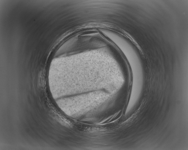 X0000082970786200702230006