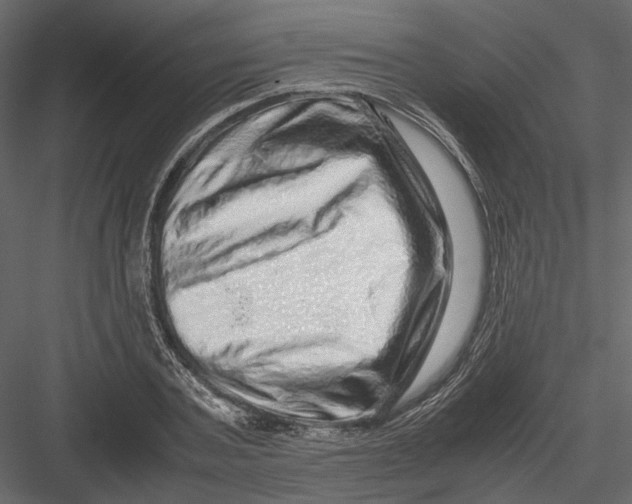 X0000082970787200702230006