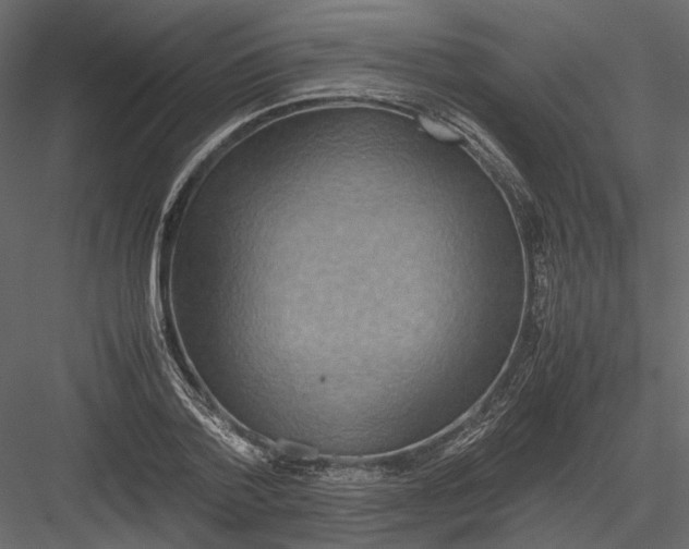 X0000082970788200702230006