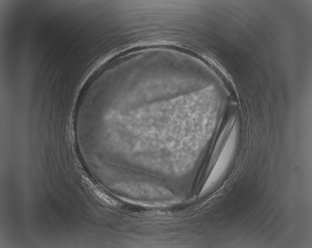 X0000082970789200702230006