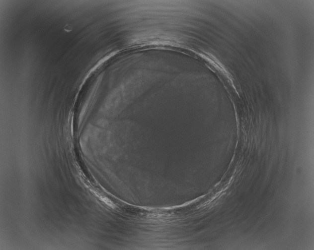 X0000082970790200702230005