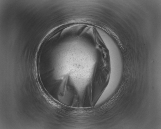 X0000082970792200702230005