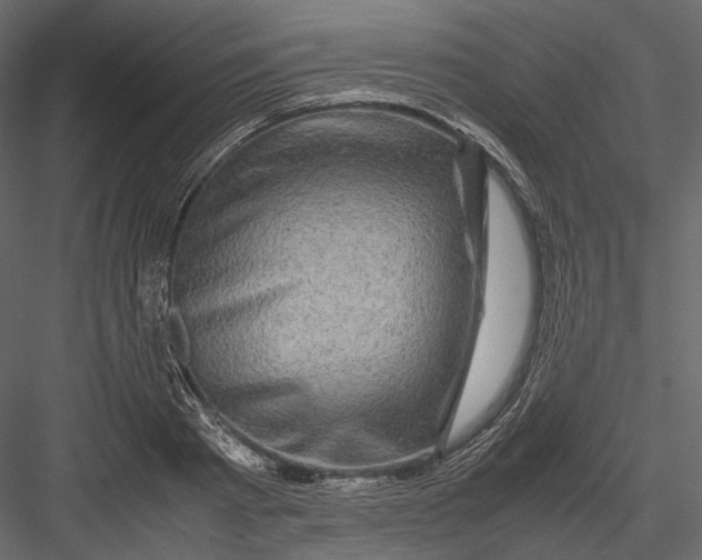 X0000082970793200702230005