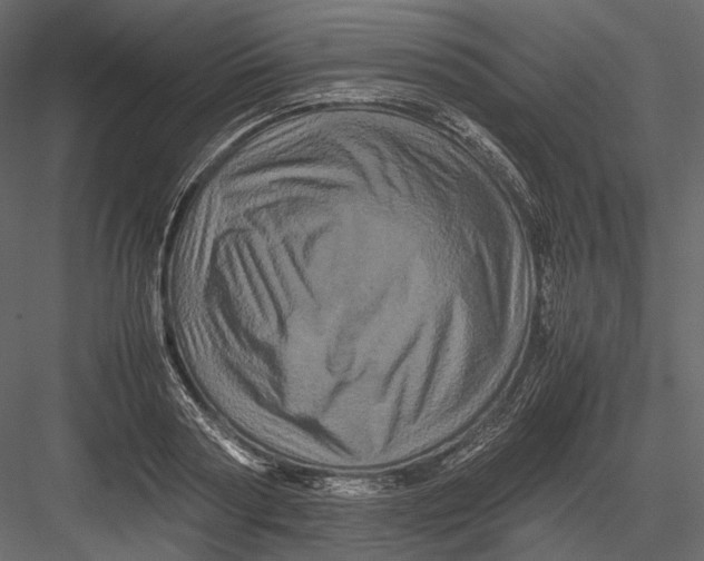 X0000082970794200702230005