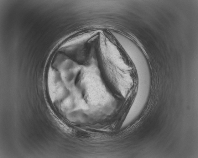 X0000082970795200702230005