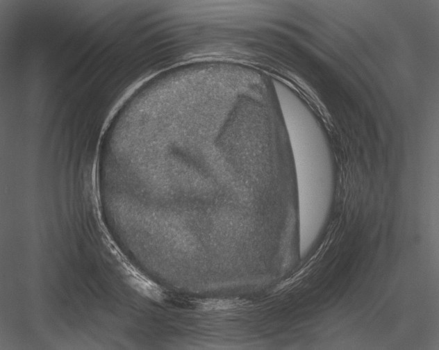 X0000082970796200702230005