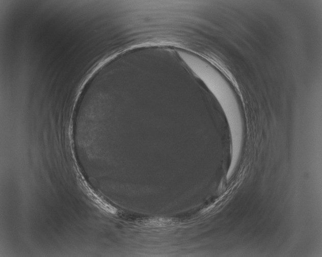 X0000082970797200702230005