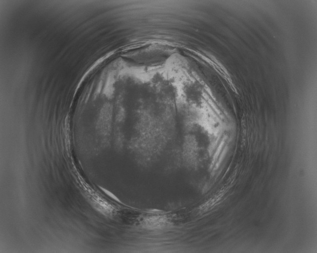 X0000082970798200702230005