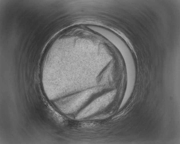 X0000082970799200702230005