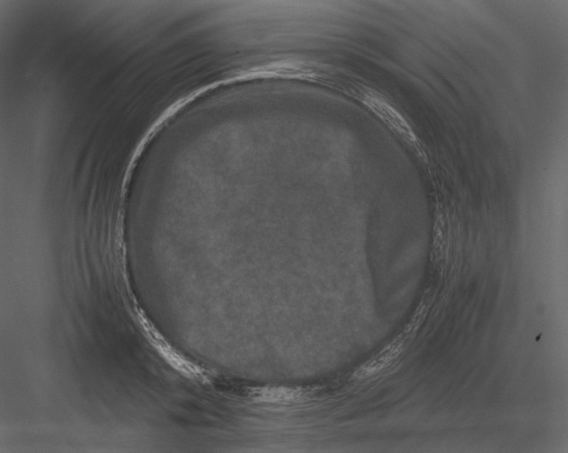 X0000082970800200702230005