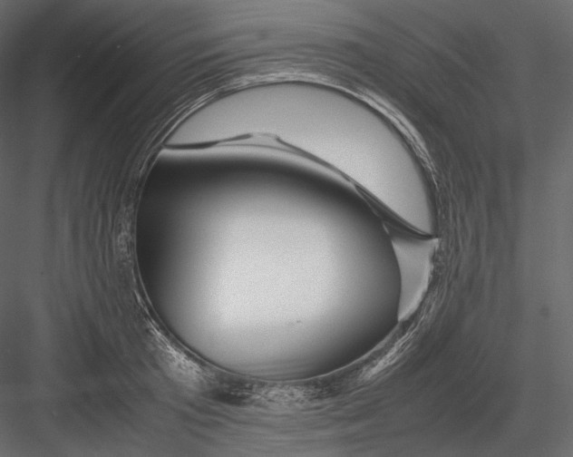 X0000082970801200702230005