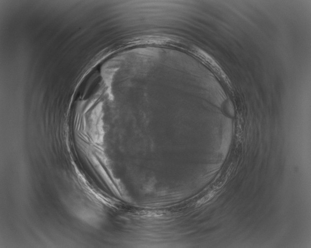 X0000082970802200702230005