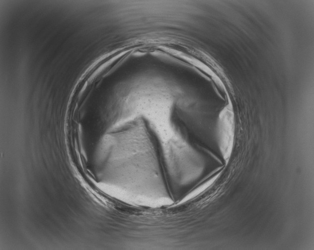 X0000082970803200702230005