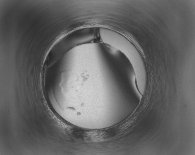 X0000082970805200702230005