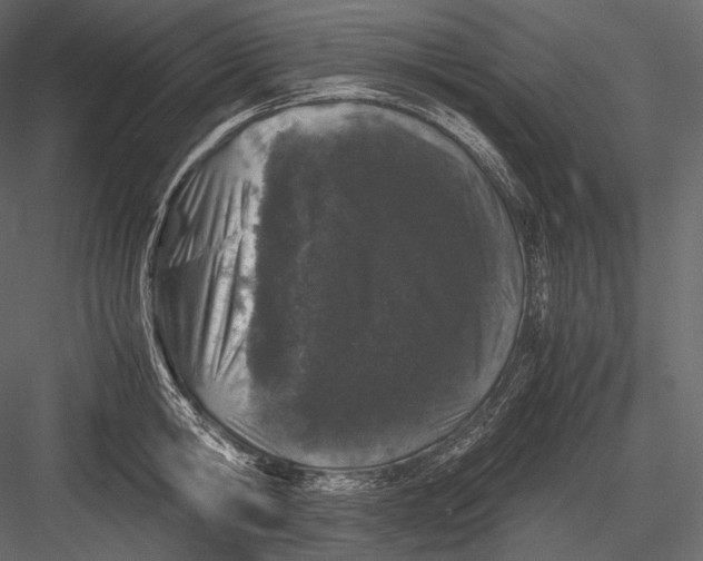 X0000082970806200702230005