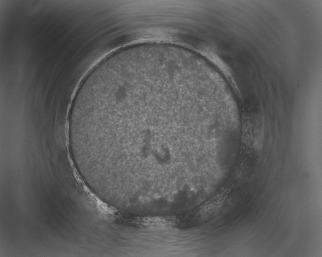 X0000082970807200702230005