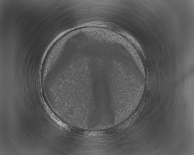 X0000082970808200702230005