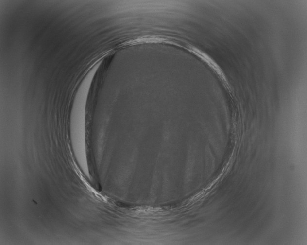 X0000082970809200702230005