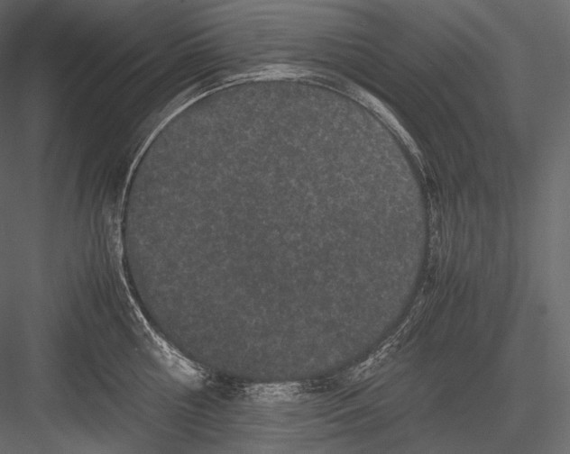 X0000082970810200702230005