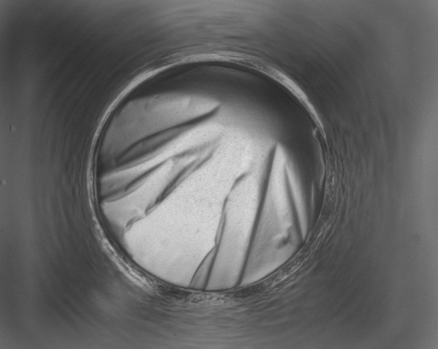 X0000082970811200702230005