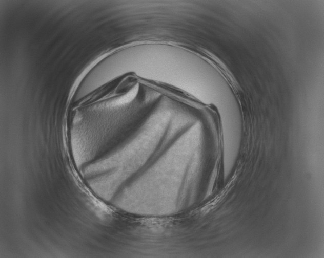 X0000082970812200702230005