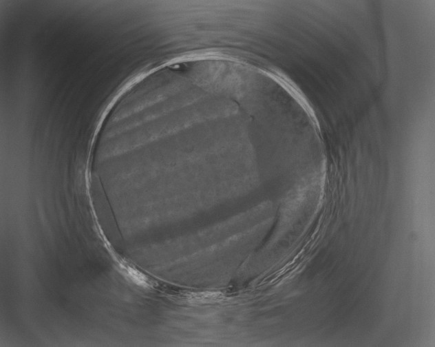 X0000082970813200702230005