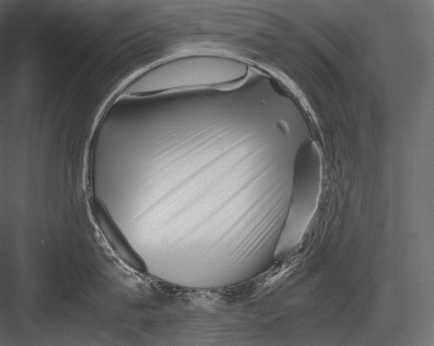 X0000082970815200702230005