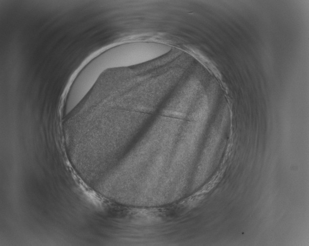 X0000082970816200702230005