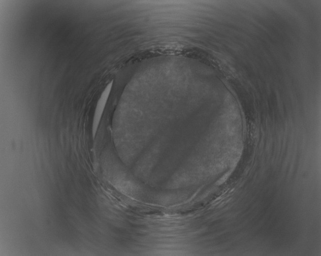 X0000082970818200702230004