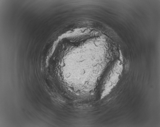X0000082970819200702230004