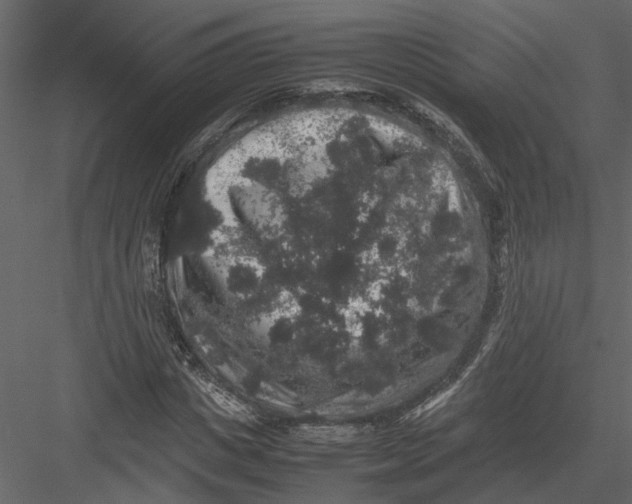 X0000082970825200702230004