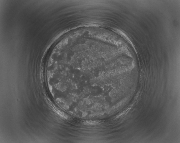 X0000082970835200702230005