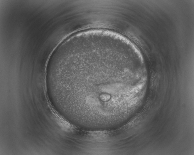 X0000082970836200702230005