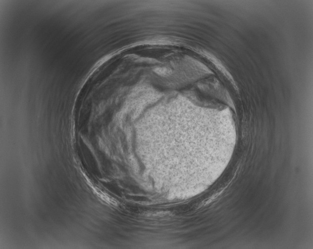 X0000082970837200702230005