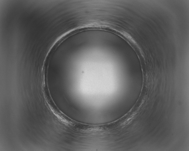 X0000082970838200702230005