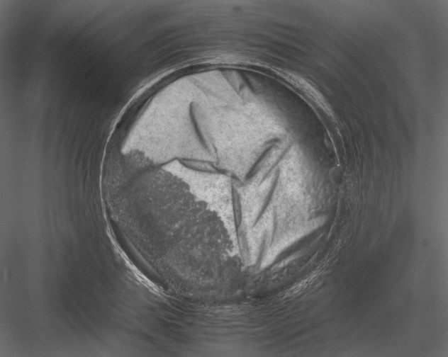 X0000082970839200702230005