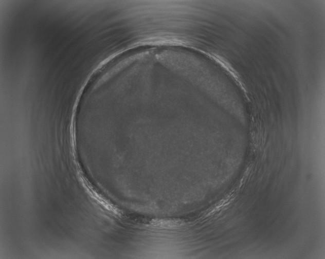 X0000082970840200702230005