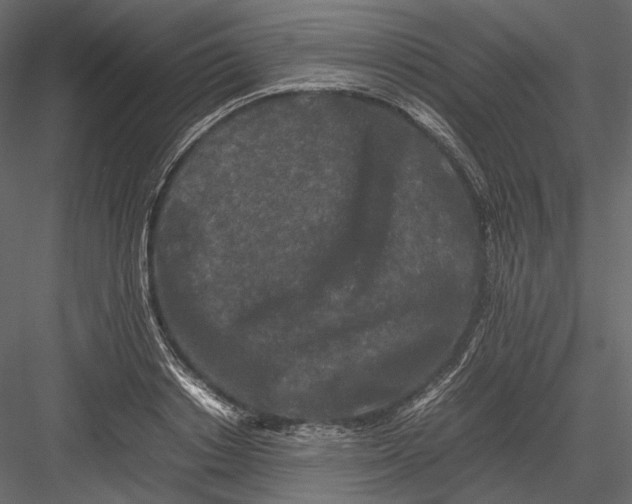 X0000082970842200702230005