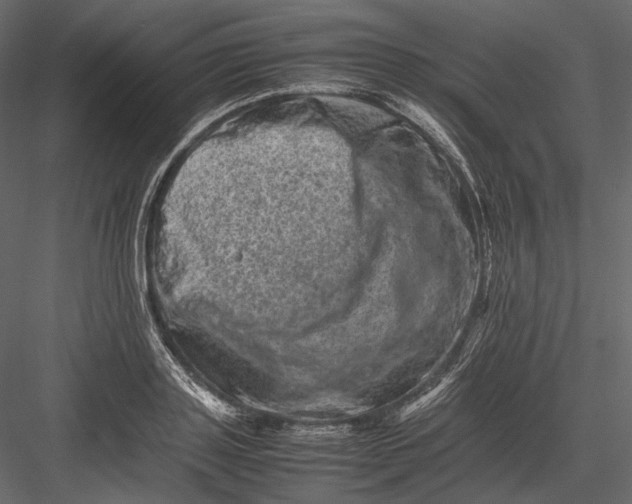 X0000082970843200702230005