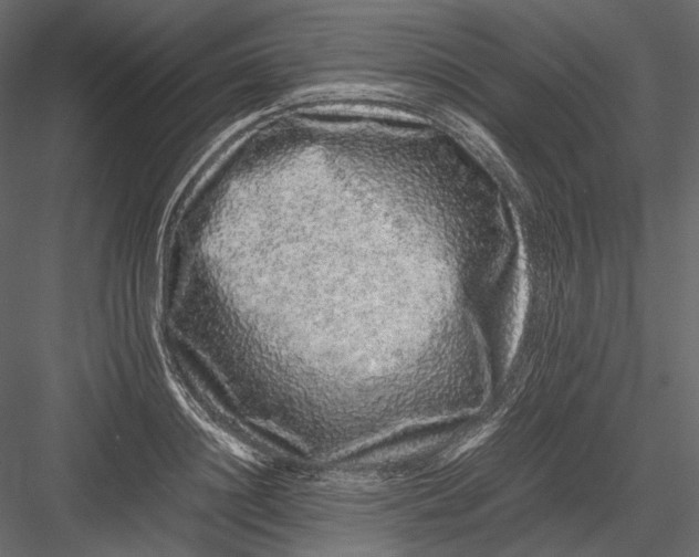 X0000082970844200702230005