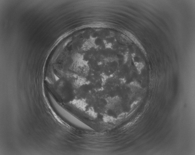 X0000082970845200702230005