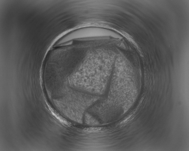 X0000082970846200702230005