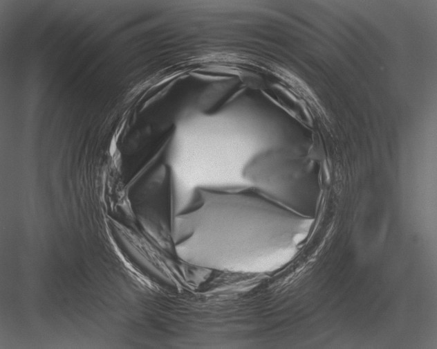 X0000082970849200702230005