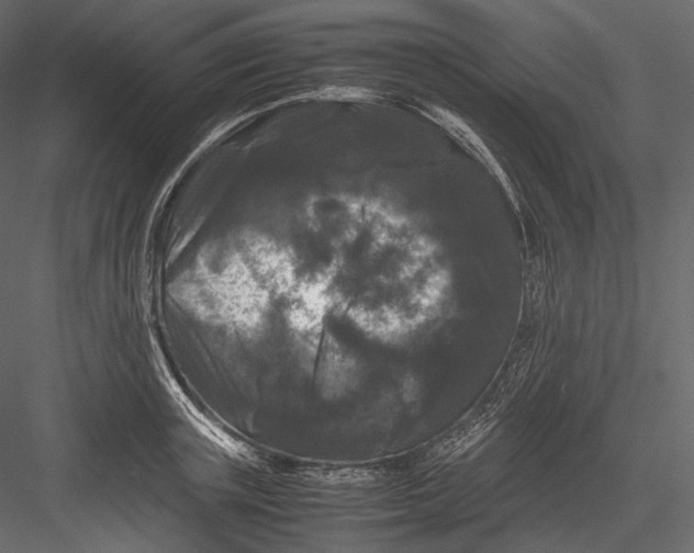 X0000082970851200702230005