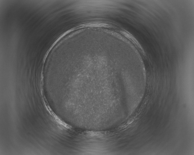 X0000082970852200702230005